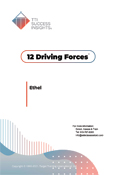 12 Driving Forces assessment, 12 driving forces assessment, 12 Driving Forces report, 12 driving forces report, TTI Motivators assessment, TTI motivators assessments, TTI DISC assessments