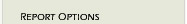 Click here for ORION report options - NetServ, Orion pre-employment selection assessment, Orion assessment, Orion pre-employment system, Orion pre employment survey system