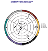 Motivators Group Wheel sample, Motivators group wheel, Personal Motivators & Engagement Group Wheel