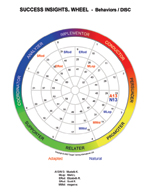 Behaviors Group Wheel sample, Behaviors group wheel, DISC Group Wheel