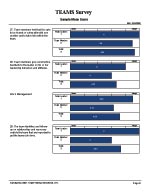 T.E.A.M.S. Mean Score report page sample - Teams Evolving and Mastering Success survey - TTI Performance Systems - TTI TEAMS surveys