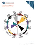 12 Driving Forces assessment, 12 driving forces assessment, 12 Driving Forces report, 12 driving forces report, TTI Motivators assessment, TTI motivators assessments, TTI assessments