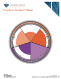 TTI Emotional Quotient, EQ report cover - Emotional Intelligence assessment - TTI Performance Systems - TTI emotional quotient, eq, emotional intelligence assessment