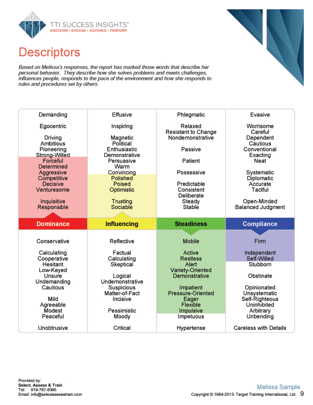 Executive online assessment page sample - CEO, CEOs, business owners, business owner, management, senior managers, decision makers, Executive, executive - TTI Performance Systems - TTI DISC assessment