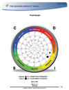 relationship insights assessment report page sample - TTI DISC assessment, Relationship Insights, relationships, Relationship insights, relationship insights - TTI Performance Systems - TTI