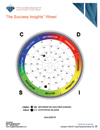 TTI Success Insights Sales online assessment report page - TTI Performance Systems - TTI DISC assessments