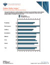 TTI Success Insights Sales Skills Index online assessment report page - TTI Performance Systems - TTI DISC assessments