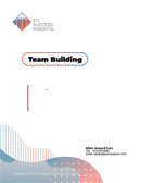  online assessment report cover - TTI Performance Systems - TTI DISC assessment, Teams, Teamwork, Team building, Team - TTI