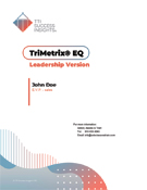 TTI TriMetrix EQ Coaching Leadership Assessment - leadership, TTI Success Insights assessments, Leadership assessment, leadership assessments, TTI Performance Sustems, TTI, tti assessments, TTI